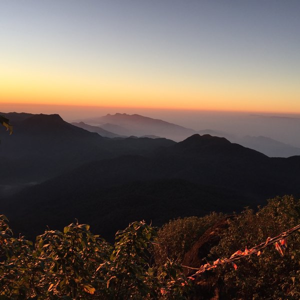 dalhousie