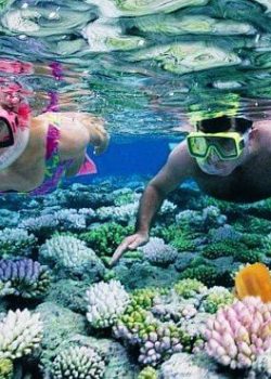 snorkeling-in-andaman snorkeling-in-andaman